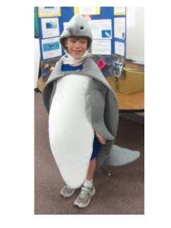 My Grandson the Dolphin