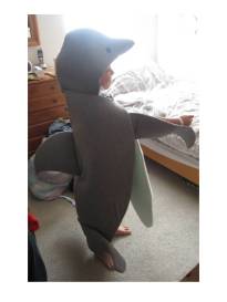 Nice dorsal fin and the flippers really work